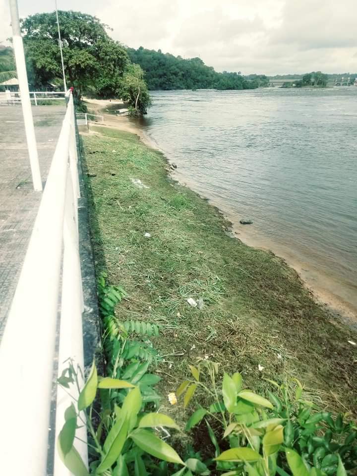 Prefeitura intensifica a limpeza da cidade